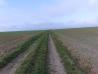 20220106_124952.jpg